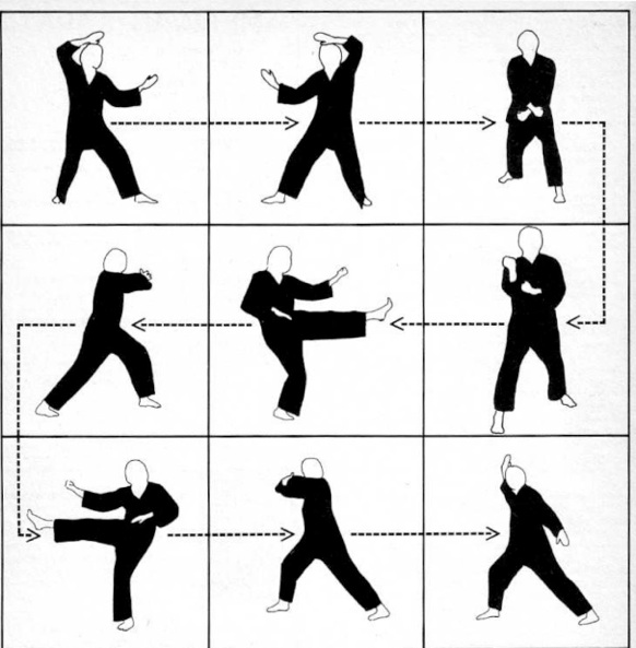 Kung Fu & Tai Chi - Martial Arts Drills