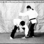 martial arts self defense one