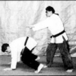 monkey boxing training exercise two