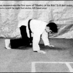 monkey martial arts form one