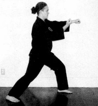 karate black belt karate expert